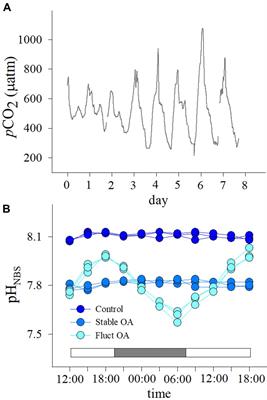 Diurnally Fluctuating pCO2 Modifies the Physiological Responses of Coral Recruits Under Ocean Acidification